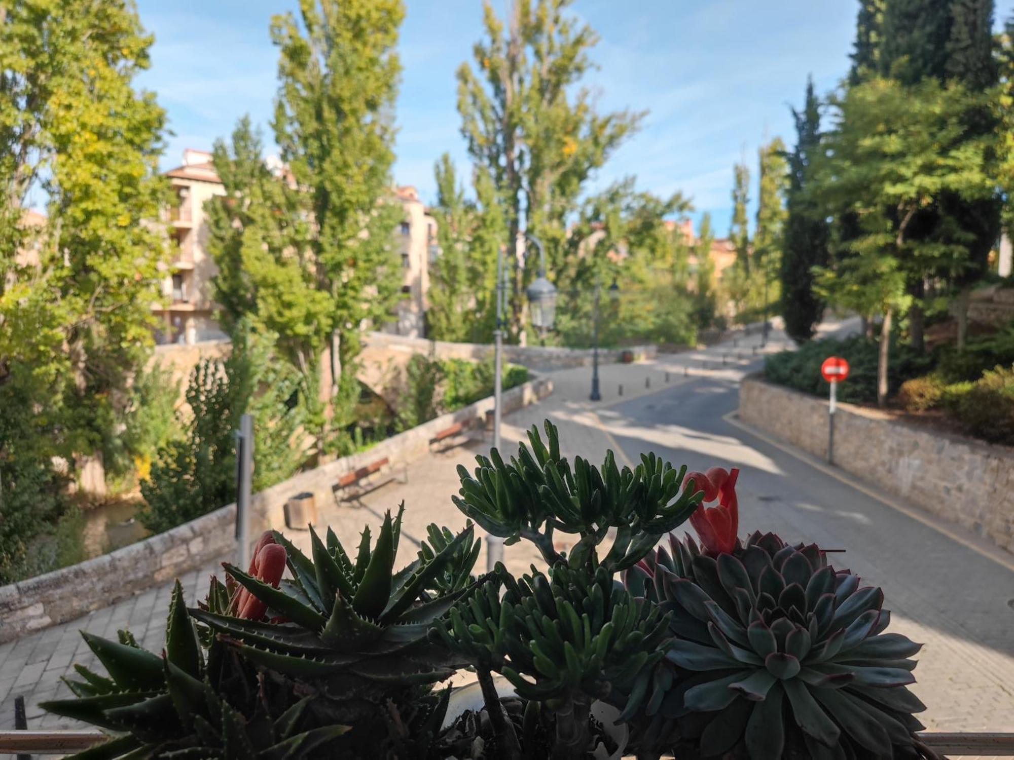 Alojamiento Mirabuenos Aranda de Duero Exterior foto